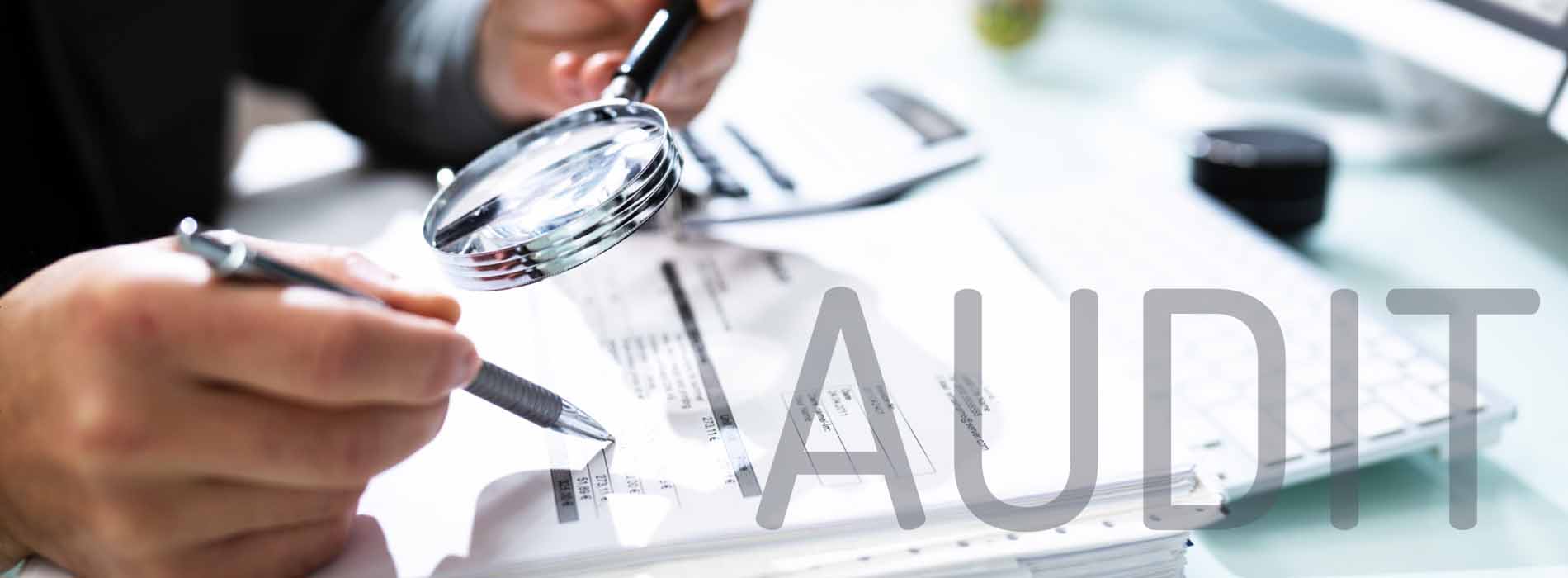 Auditing & Assurance Services